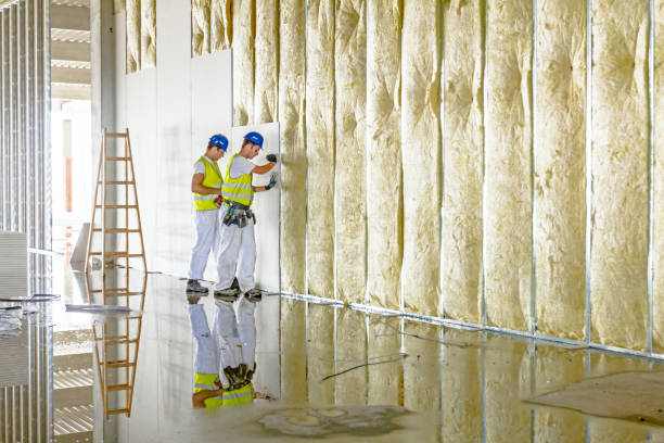 Best Reflective Insulation  in Henagar, AL